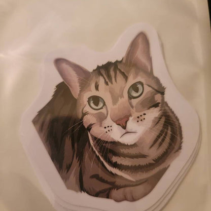 Custom Cat Face Stickers