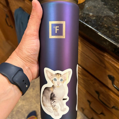 Custom Water Bottle Stickers