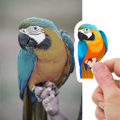 Custom Pet Bird Stickers