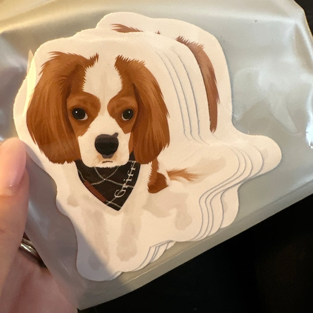 Custom Pet Portrait Stickers